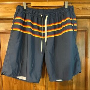 Fair Harbor Blue Swim Shorts with Multicolor Stripes mean 2XL